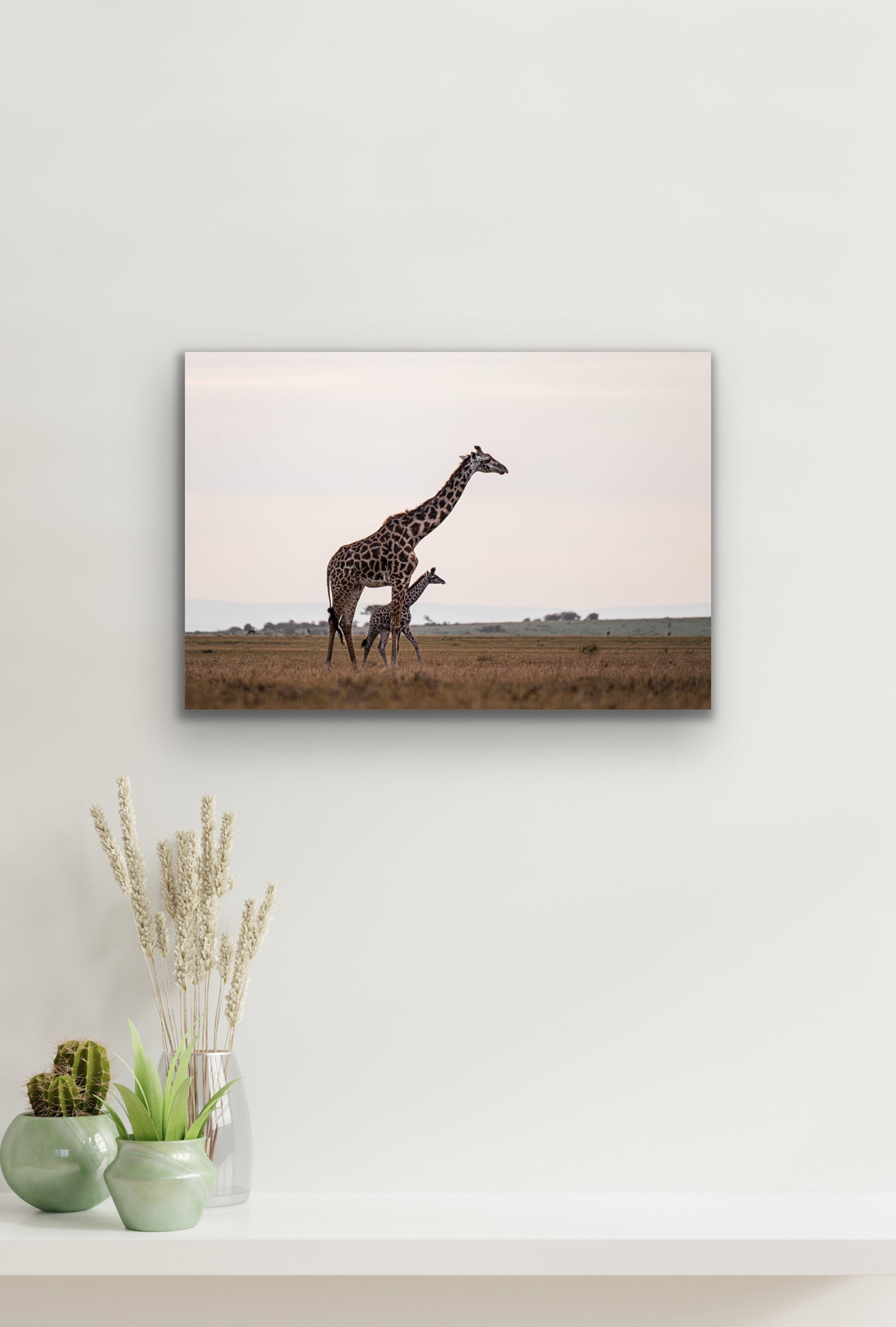 Giraffe Mother and Her Baby