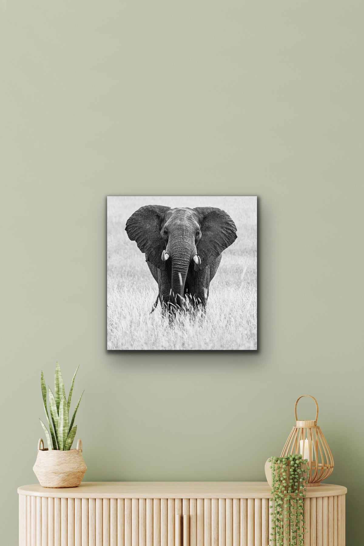 The Elephant Pose