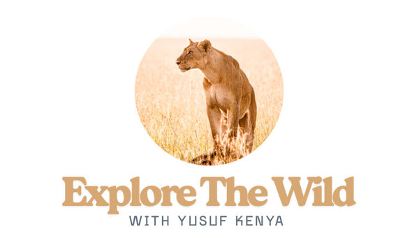Yusuf Saeed Wild Photography - Printstore