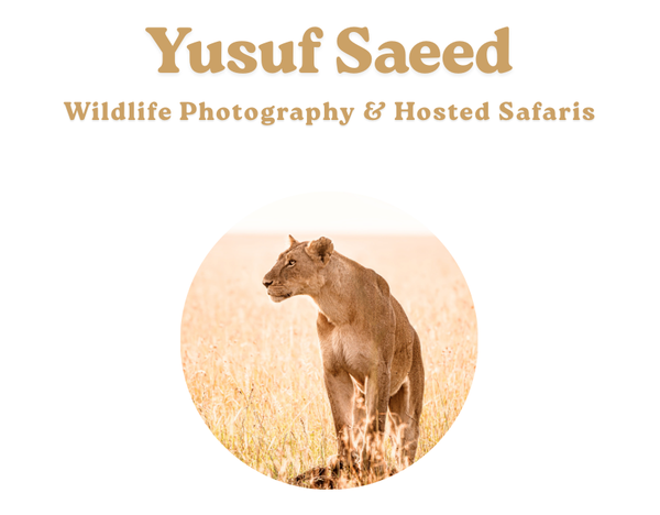 Yusuf Saeed Wild Photography - Printstore